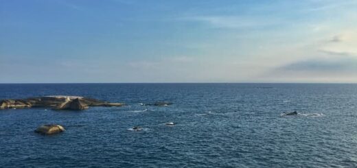 south-china-sea